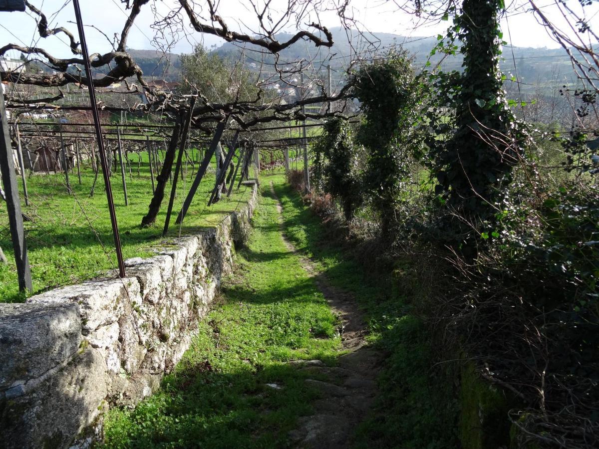 레센데 Quinta De S. Cipriano 빌라 외부 사진
