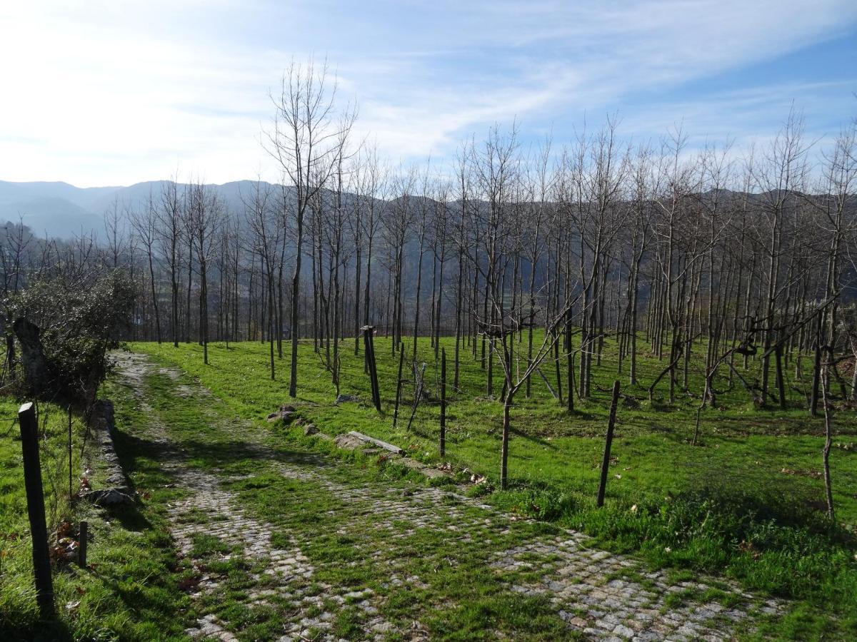 레센데 Quinta De S. Cipriano 빌라 외부 사진