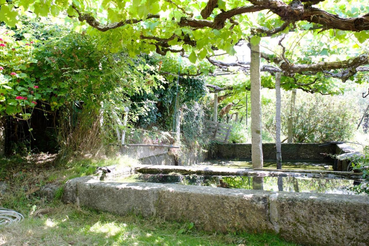 레센데 Quinta De S. Cipriano 빌라 외부 사진