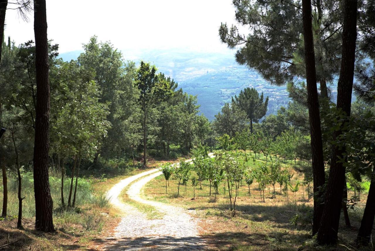 레센데 Quinta De S. Cipriano 빌라 외부 사진