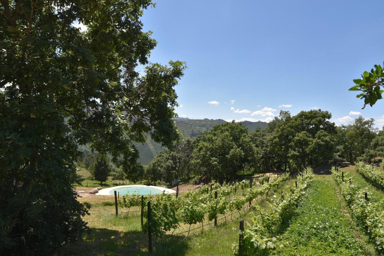 레센데 Quinta De S. Cipriano 빌라 외부 사진